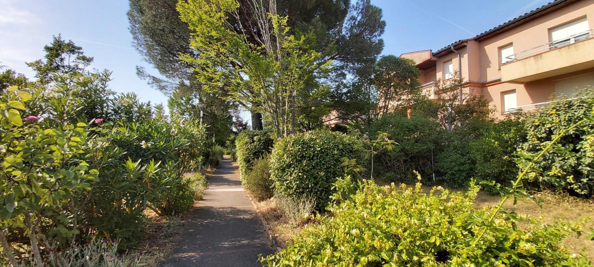 Les Elfes - Avec Entree Autonome, Clim Neuve, Jardin, Parking Prive & Gourmandises Offertes ! - Διαμέρισμα Τουλούζη Εξωτερικό φωτογραφία