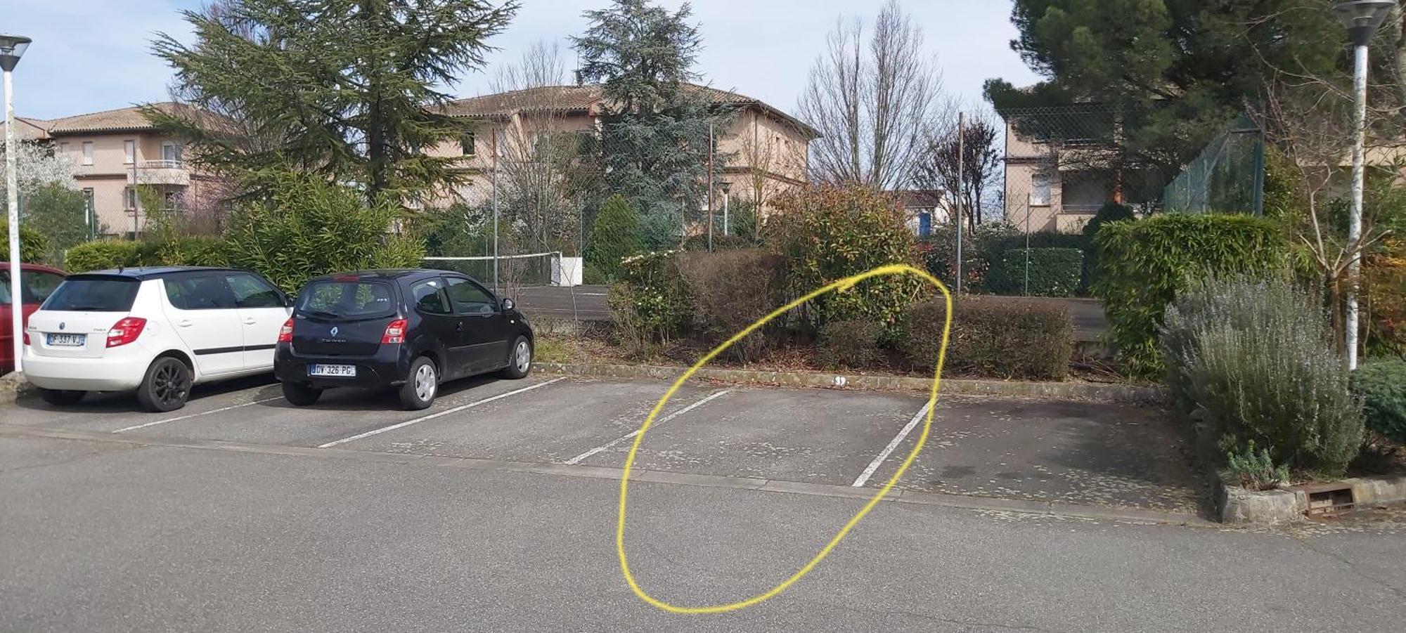 Les Elfes - Avec Entree Autonome, Clim Neuve, Jardin, Parking Prive & Gourmandises Offertes ! - Διαμέρισμα Τουλούζη Εξωτερικό φωτογραφία