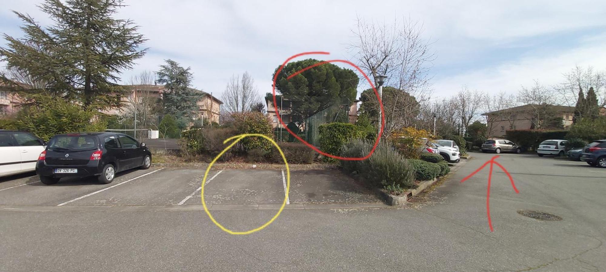 Les Elfes - Avec Entree Autonome, Clim Neuve, Jardin, Parking Prive & Gourmandises Offertes ! - Διαμέρισμα Τουλούζη Εξωτερικό φωτογραφία